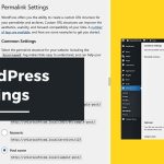 Essential WordPress Settings