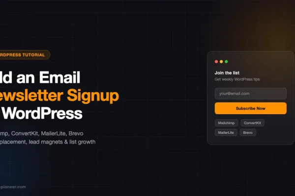 Email newsletter signup form mockup for WordPress showing Mailchimp, ConvertKit, MailerLite and Brevo integration options